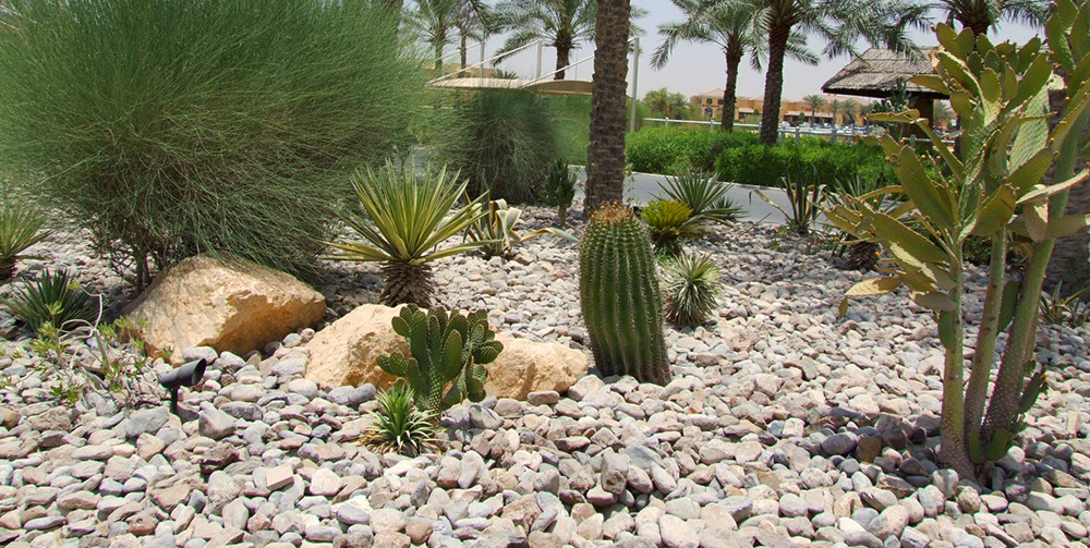 Best-landscaping-companies-in-Dubai